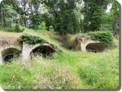 Les 140 caves de St Julien